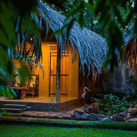 Private Organic House Bed & Breakfast Udawalawe Exterior photo