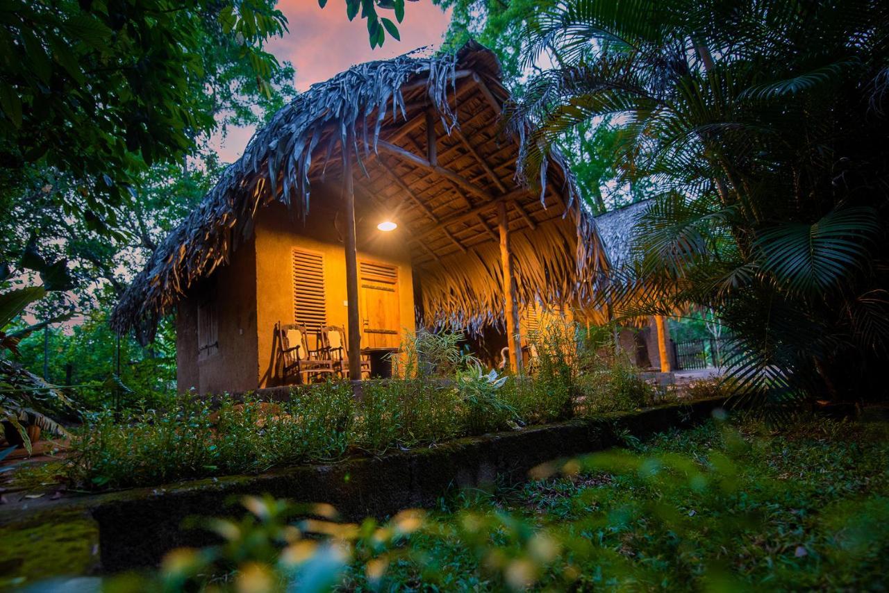 Private Organic House Bed & Breakfast Udawalawe Exterior photo